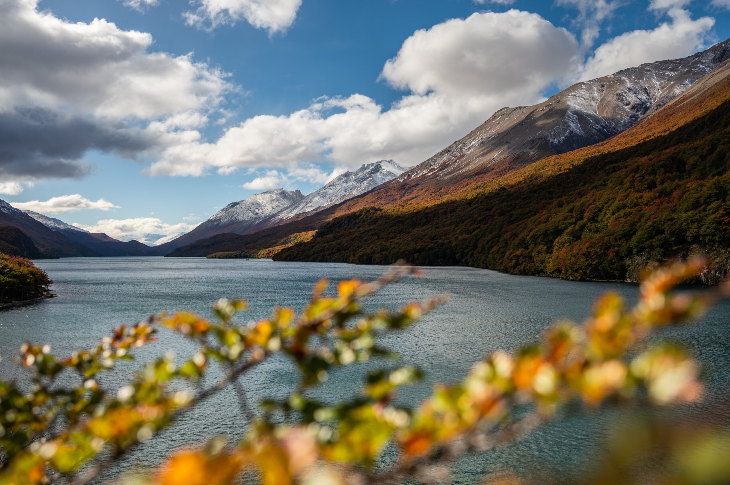 El Lago del Desierto rodeado de bosque nativo