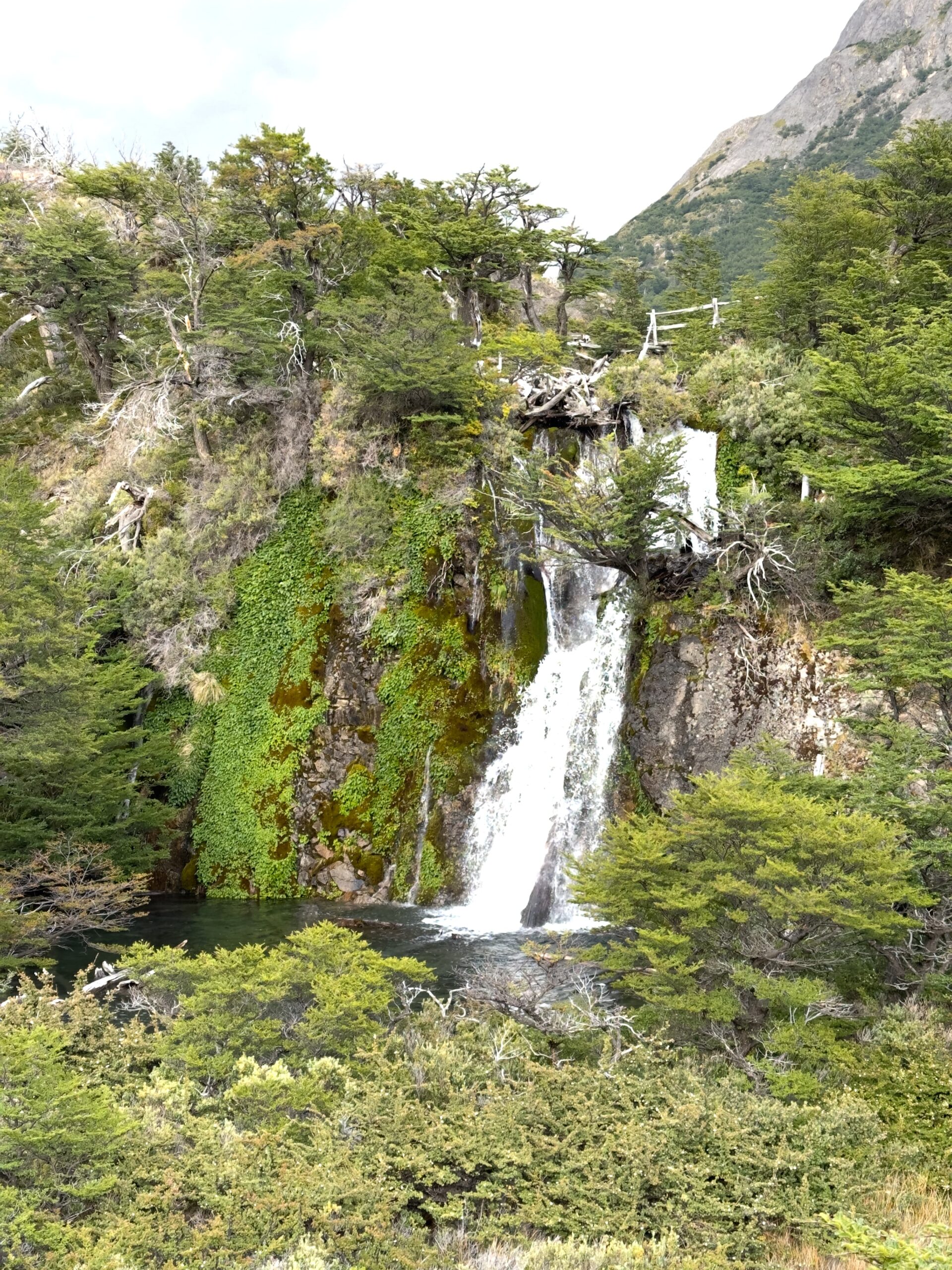 Reserva Natural Los Huemules — bosques y senderos en excursiones de grupos reducidos